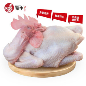 PLUS会员！ 潭牛 海南文昌鸡 110天小公鸡 净重约2斤