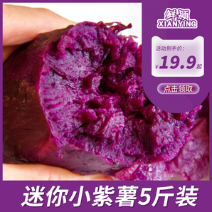 鲜颖紫薯新鲜蜜甜紫薯精品 2400g