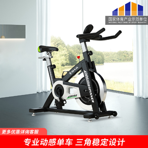 舒华 | 动感单车运动健身自行车器材b3656S