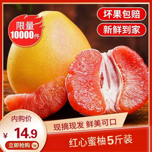 柚子 水果 当季新鲜红心柚子 净重5斤大果（约1-2个）