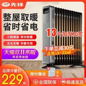 Singfun 先锋 DYT-Z9 电暖器 13片超性价款 199元包邮（需用券）