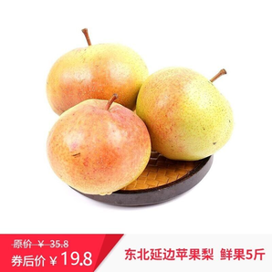 鹰之歌 东北延边苹果梨 净重5斤
