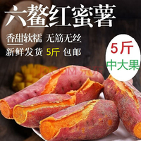 六鳌蜜薯 红心红薯地瓜 香甜软糯沙地红蜜薯 5斤