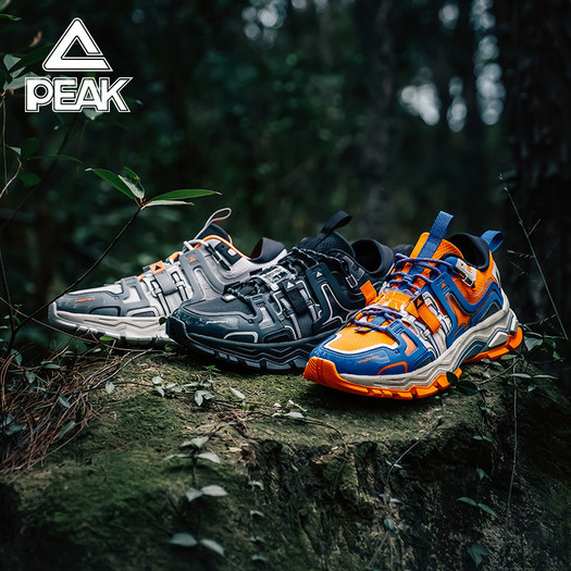 peak匹克态极探索者e94071e男子运动休闲鞋