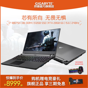 Gigabyte 技嘉 AORUS 15P 15.6英寸 笔记本电脑（i7-10875H、8G、512G、RTX2060 6G） 8999元包邮（需用劵）