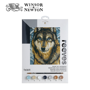 WINSOR&NEWTON 温莎·牛顿 丙烯颜料手绘装饰画套装 84.6元包邮