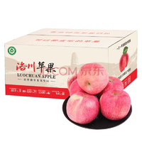 中国洛川冰糖心苹果豪华礼盒10斤整箱装   37.9元