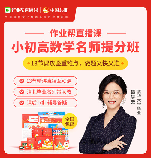 作业帮 在线辅导 小初高名师数学网课直播课 13节互动课