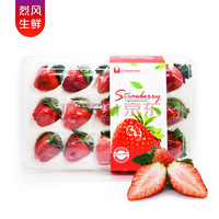 四川高山草莓 新鲜水果 1斤装中果*3
