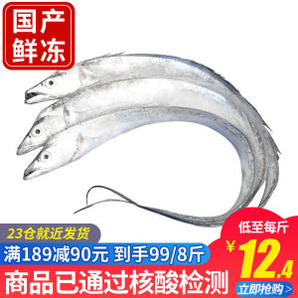 PLUS会员： 浓鲜时光 渤海新鲜带鱼 8-9斤