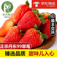 丹东99草莓 3斤大果装