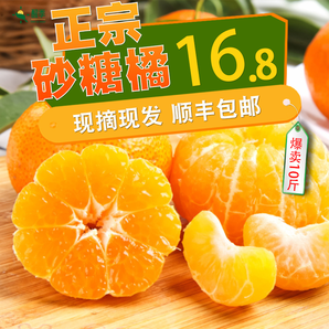 广东正宗砂糖橘超甜5斤