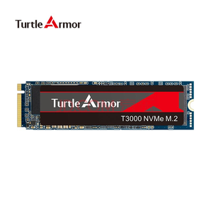 龟甲（TurtleArmor）512GB SSD固态硬盘 M.2（NVMe PCle）T3000系列