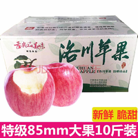 陕西洛川红富士苹果10斤装 冰糖心特级大果