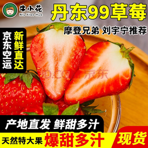 丹东99草莓 新年促销2斤大果【净重1.9斤】