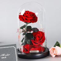 RoseBox 玫瑰盒子 玻璃罩红玫瑰永生花 2朵 219元包邮