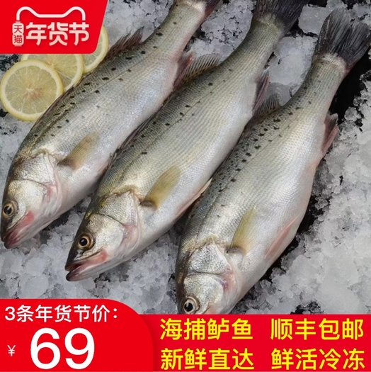 汤米巴新鲜海捕花鲈鱼3条净重1500g