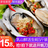 猫大厨 牡蛎肉海蛎 火锅烧烤食材 乳山生蚝5斤【L号 单个70-90g】