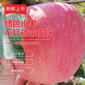 苏子富春 红富士苹果（果径85-90mm）带箱10斤