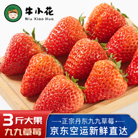 九九草莓 丹东特产 红颜草莓 3斤装【净重2.8斤】