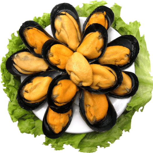 星渔鲜活特大青口贝5斤399元包邮