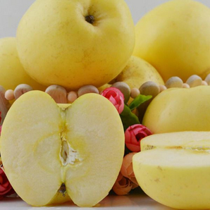 甜缤纷 山东烟台黄金奶油富士苹果4.5-5斤（75mm左右中小果12个）