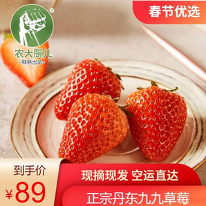 农大腕儿 丹东99草莓 净重2.8斤（约40颗）