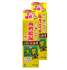 针对牙龈问题！KOBAYASHI 小林制药 生叶EX增强版中药牙膏 100g*2支  含税到手￥119.22
