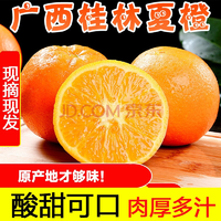 广西桂林夏橙 当季新鲜夏橙 5斤装