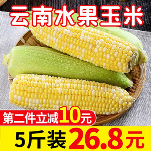 shawoshuguang 沙窝曙光 新鲜水果玉米 5斤