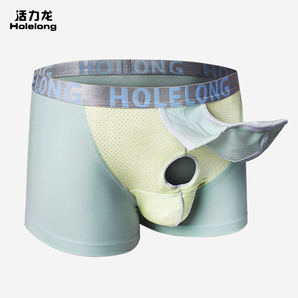 Holelong 活力龙 HCP018 男士抗菌内裤 19.9元包邮（需用券）