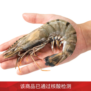 PLUS会员：jufuxian 聚福鲜 越南活冻黑虎虾 超大6-8只/盒 净重400g