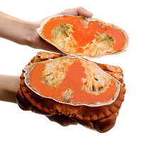 OCEAN SIR 面包蟹 超大螃蟹满黄膏蟹 熟冻生鲜蟹类300g-400g/*3只