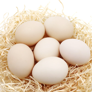 农家散养土鸡蛋40-50g  粉皮蛋10枚