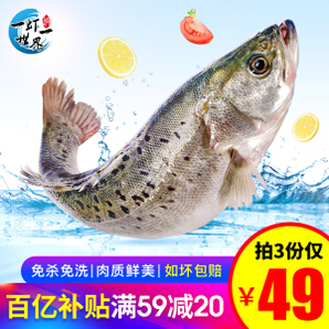 PLUS会员：一虾一世界 三去海鲈鱼 400-500g/条