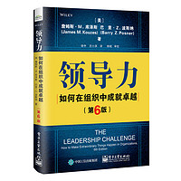 《领导力：如何在组织中成就卓越》