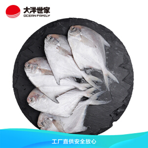 OCEAN FAMILY 大洋世家 舟山精品银鲳鱼1KG/袋（8-10条）平鱼