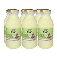 FRISIAN COW 弗里生乳牛 哈密瓜牛奶 243ml*6瓶