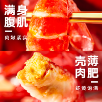 健美虾经典麻辣小龙虾冷冻非鲜活750g/盒