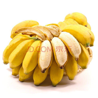 菓红蔬青 贵州安龙新鲜香蕉糯米蕉 5斤整箱装