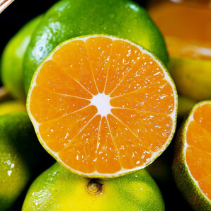蜜橘 青皮蜜橘子 净重5斤大果（单果60mm以上）