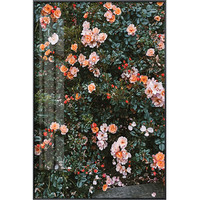 海龙红 法式古玫瑰蔷薇Roses壁画《玫瑰 A款》43×60cm 油画布 典雅黑