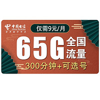 CHINA TELECOM 中国电信 紫星卡 9元/月（35G通用+30G定向+300分钟）