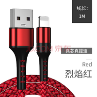 电引力（DINEINLY） 苹果数据线快充充电线USB电源线 1米A A-苹果红色