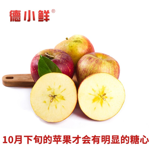 正宗四川盐源丑苹果 今年新鲜苹果刚采摘未入库 80mm以上超丑丑苹果 12枚