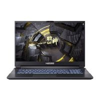 Hasee 神舟 战神G8-TA7NP 17.3英寸游戏笔记本电脑（i7-11800H、16GB、512GB、RTX3060、144Hz、72%NTSC）