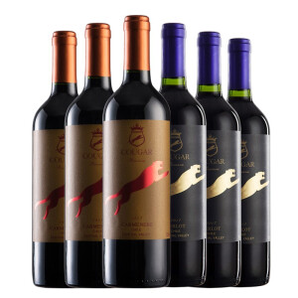 PLUS会员：COUGAR 美洲狮 葡萄酒整箱 750ml*6瓶 卡门3+美乐3
