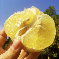 鲜临食感 精选黄金葡萄柚  5斤