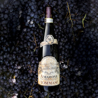 Tommasi托马斯Amarone阿玛罗尼干红葡萄酒 2016年 750ml