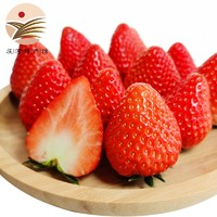 鲜姿 丹东九九红颜牛奶油草莓  1.4kg